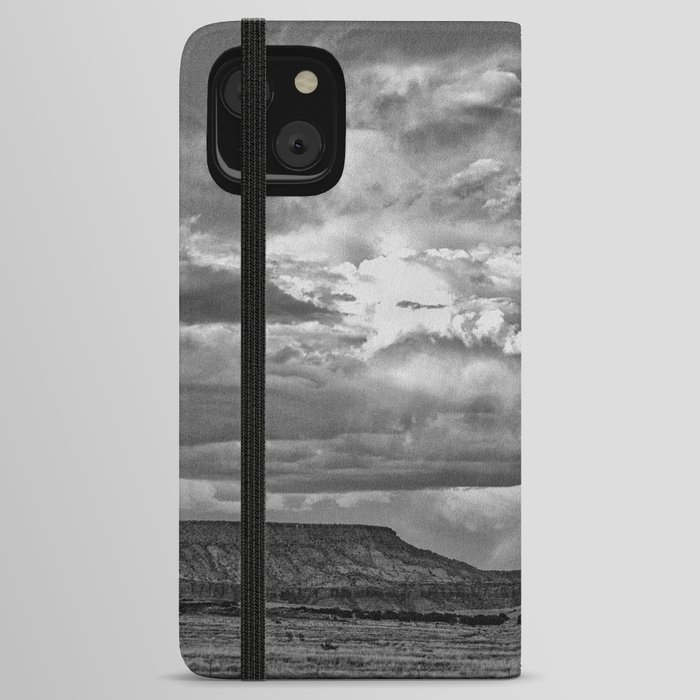 Arizona B&W II iPhone Wallet Case