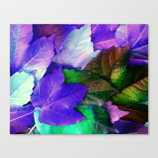 The Purple Leaves of Autumn Canvas Print