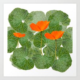 Orange Poppy Flowers Green Large Leaf #decor #society6 #buyart Art Print