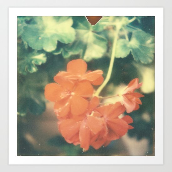 Red Begonia Art Print
