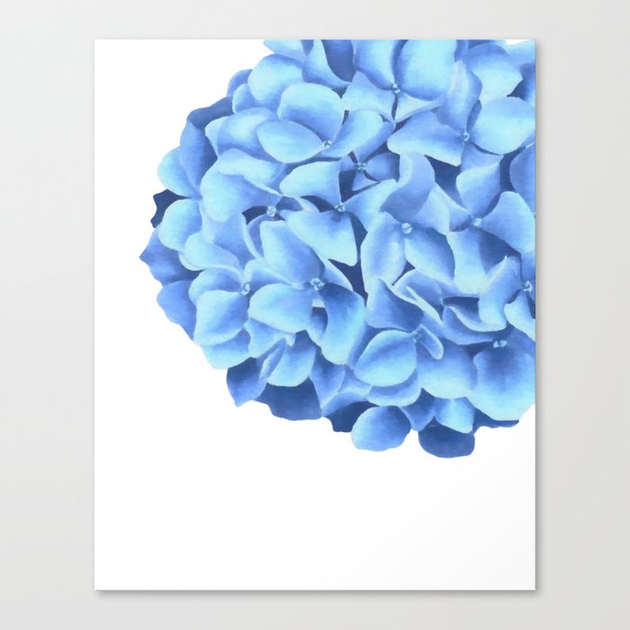 Hydrangea Big Blue Flower Canvas Print By Melafaypopart Society6