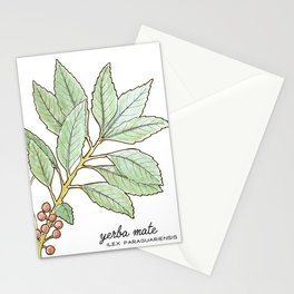 tea botanicals | Yerba Mate // South American herbal Stationery Cards