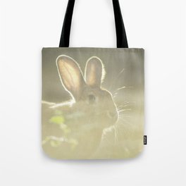 Juvenile rabbit in afternoon Tote Bag