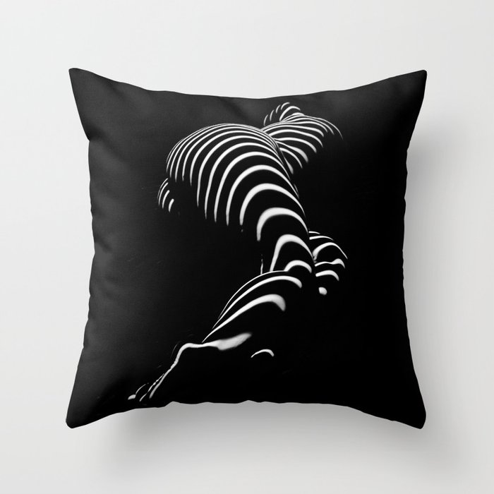 Large black and hotsell white throw pillows