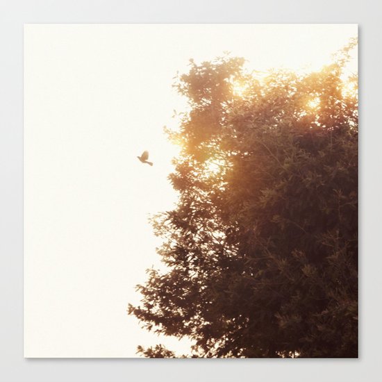 Nuevo amanecer Canvas Print