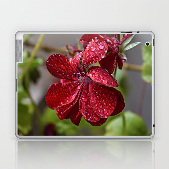 Rainy Blooming Flower Laptop & iPad Skin