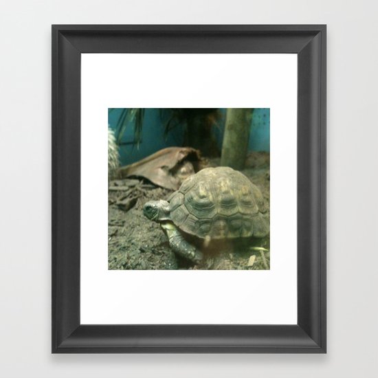 Giant Turtle Framed Art Print