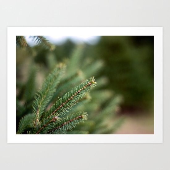 Needles II Art Print