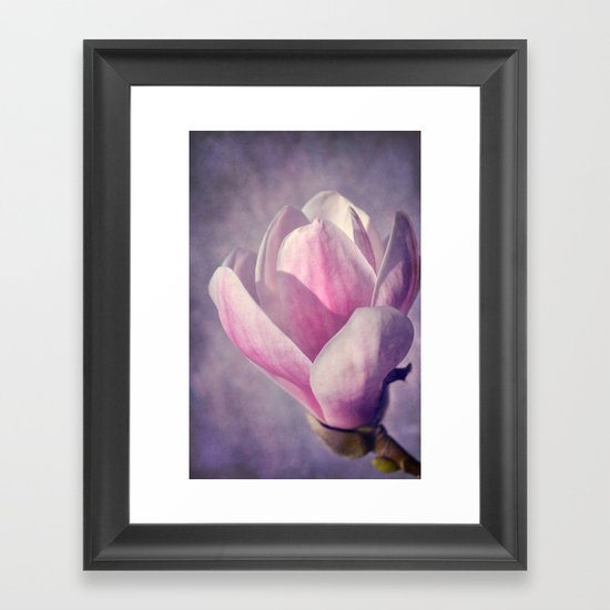 Magnolia Framed Art Print