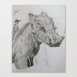 Warthog Drawing Canvas Print