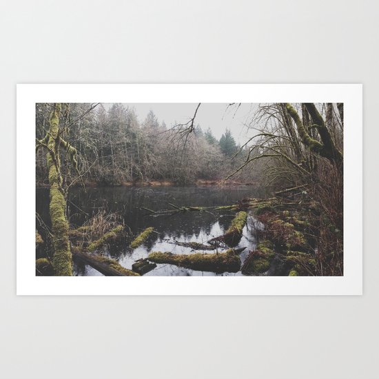 Hidden Pond Art Print