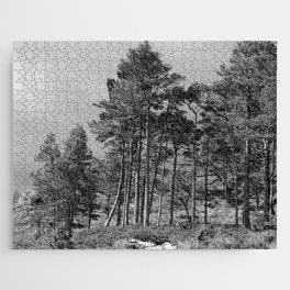 Scottish Highlands Summer Pine Trees in Black and White  Jigsaw Puzzle