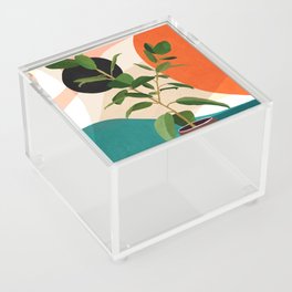 Ficus Colorful Round Geometry I Acrylic Box