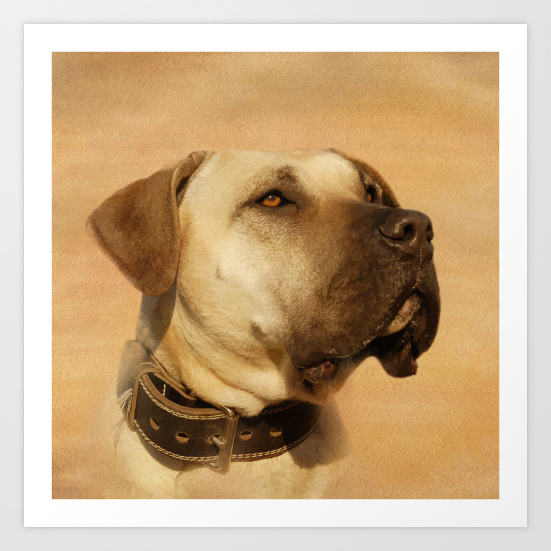 Perro De Presa Canario Dogo Canario Art Print By K9printart Society6