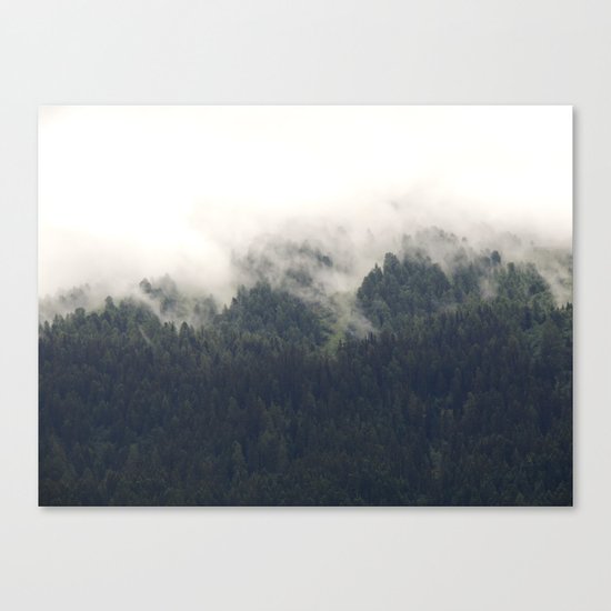 Forest #evergreen # landscape photography Canvas Print