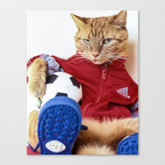 The Cat is #Adidas Canvas Print