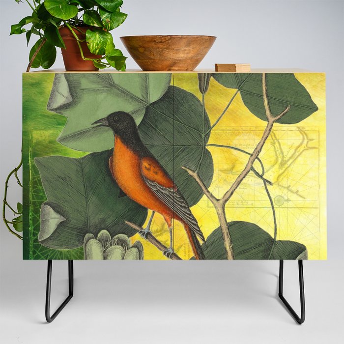Baltimore Oriole on Tulip Tree, Vintage Natural History and Botanical Credenza
