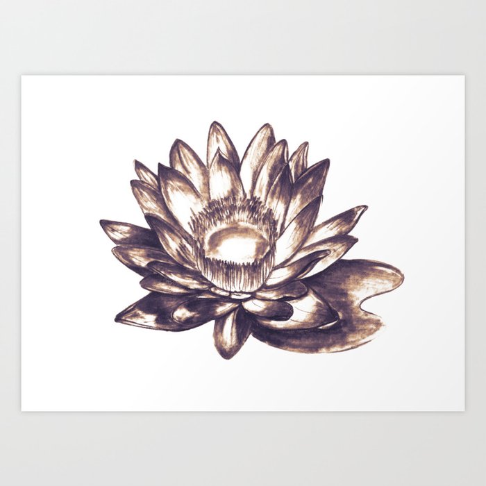 Lilly Loto Flower Draw Art Print By Carolsalazar Society6