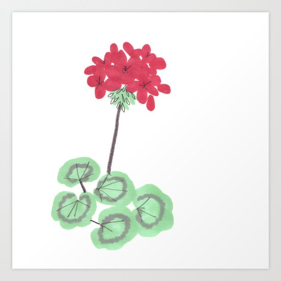Wembley Gem Red Flower Art Print