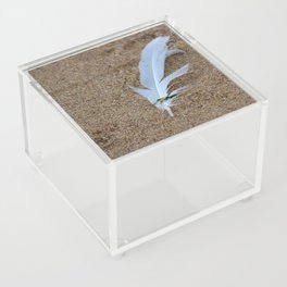 White feather Acrylic Box