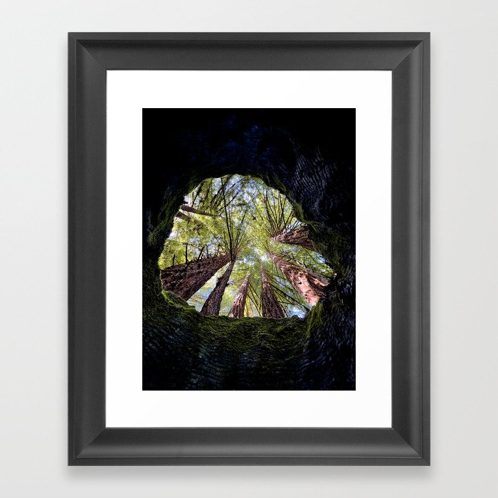 Telescope of Time (benefitting The Nature Conservancy)  Framed Art Print