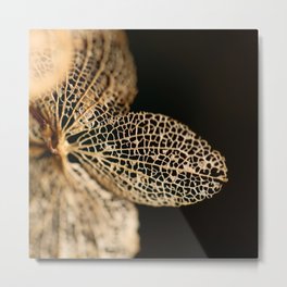 natural art Metal Print | Digital, Flower, Photo, Art, Garden, Floral, Natural, Abstract, Nature, Brown 
