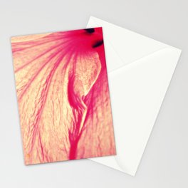 hibiscus fade Stationery Cards