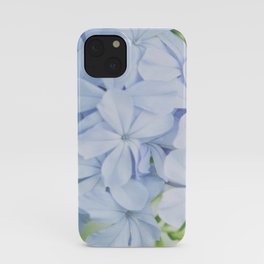 Sweet afternoon iPhone Case