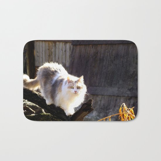 The Beautiful Maine Coon Dilute Calico Bath Mat