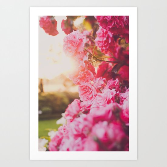 Roses Art Print