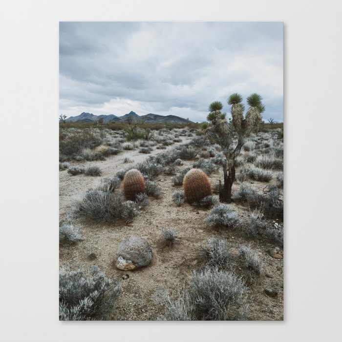 Mojave Canvas Print
