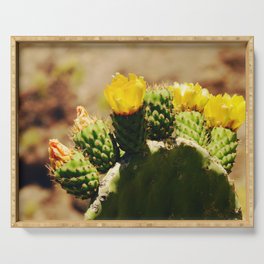 Yellow cactus flower | Prickly pear nopal in the desert | Opuntia humifusa Serving Tray