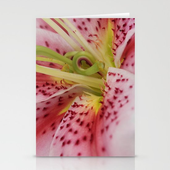 Up Close Stationery Cards