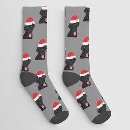 Black Lab Wearing a Santa Hat Socks