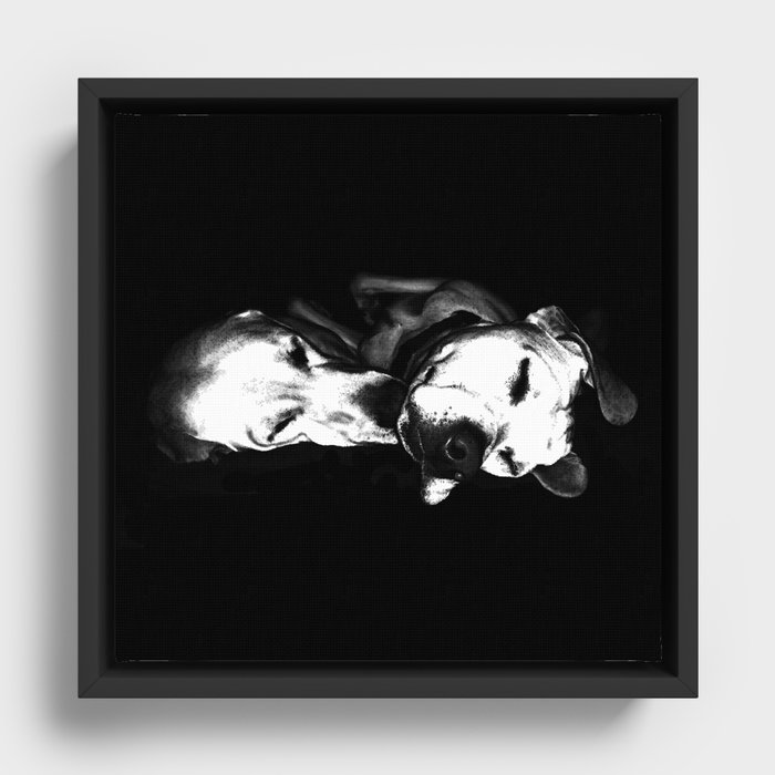 Sweet Dreams - Black And White Dog Art Framed Canvas