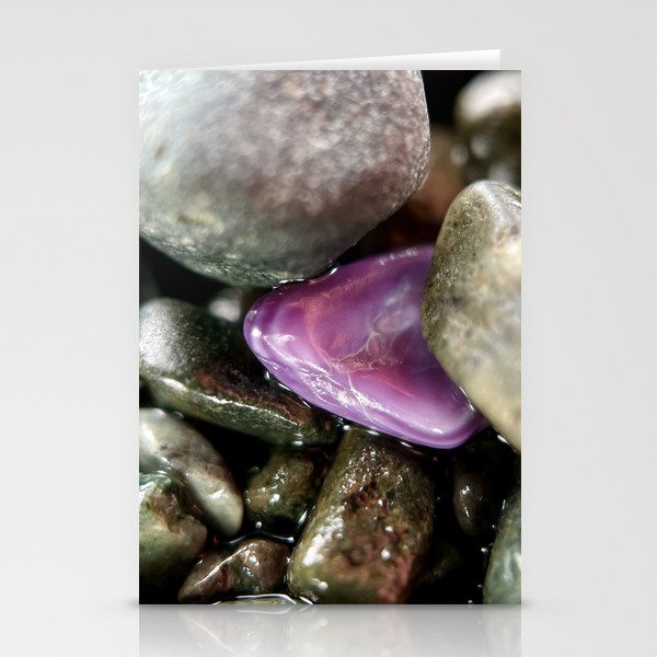 Purple Shell Stationery Cards