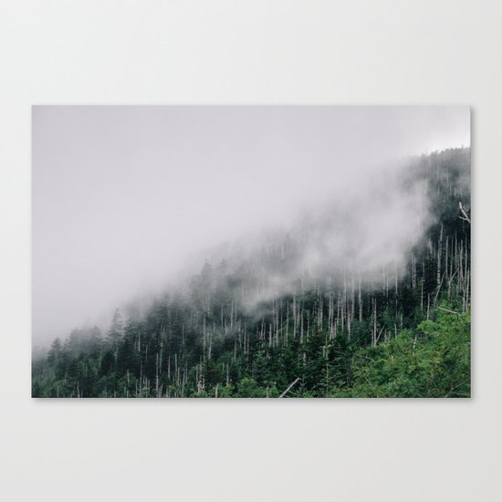 Misty Great Smoky National Park Canvas Print