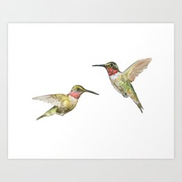 Ruby Throated Hummingbird Watercolor Art Print