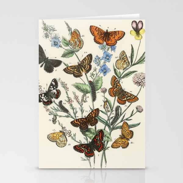 Vintage Butterfly and Moths Illustration by William Forsell Kirby 1883 Stationery Cards