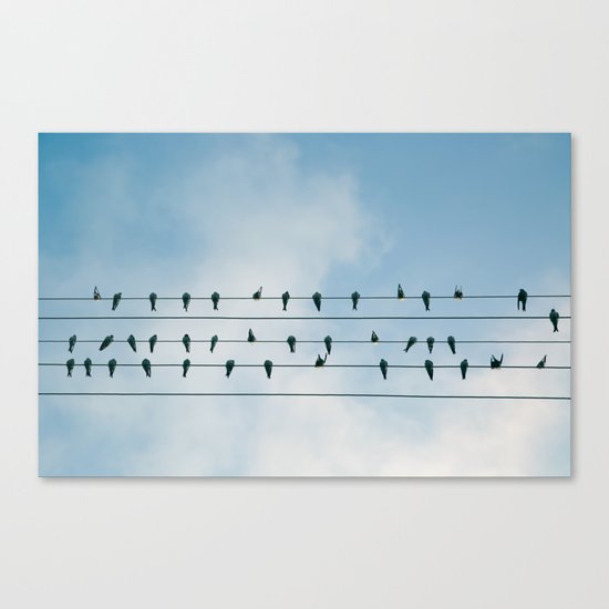 Birds on a wire Canvas Print