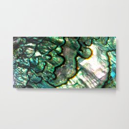 Shimmering Green Abalone Mother of Pearl Metal Print