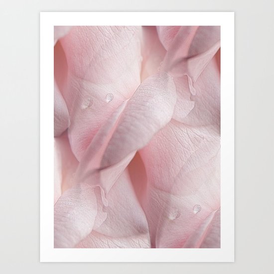 Tears Of A Rose Art Print