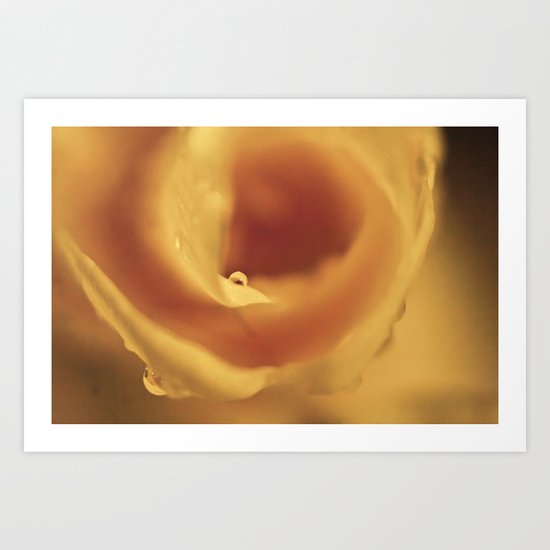 Dew Drop on Yellow Gladiola Art Print