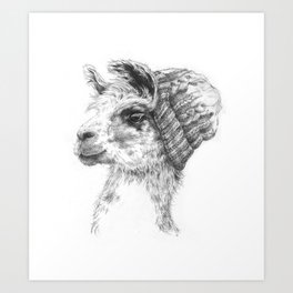Wooly Llama Art Print