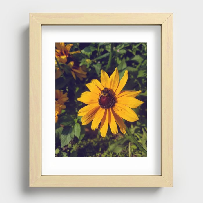 Bumblebee Booty Recessed Framed Print
