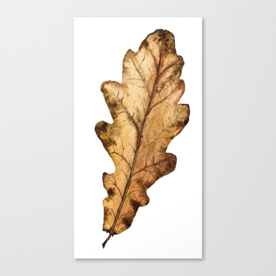 Autumn Leaf 01 Canvas Print