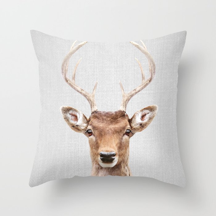 Throw Pillow