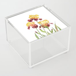 Iris Watercolor  Acrylic Box