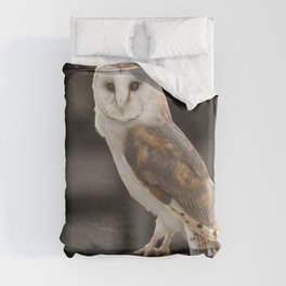 Barn Owl Duvet Cover