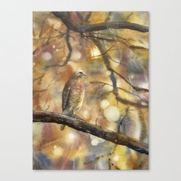 Hawk sitting on branch outside.  Watercolor painting of hawk on branch- hawk artwork, painting hawk Canvas Print